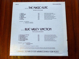 David McAllister (4) / Robert Palladino (2) : The Magic Flute / Blue Valley Junction (LP)