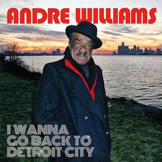 Andre Williams (2) : I Wanna Go Back To Detroit City (LP, Album)